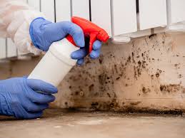 Mold Removal for HVAC Installations in Saddle River, NJ